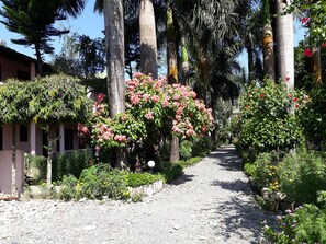 Vista desde la propiedad