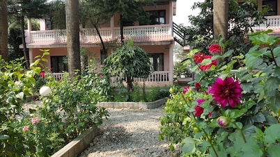 Sauraha Resort