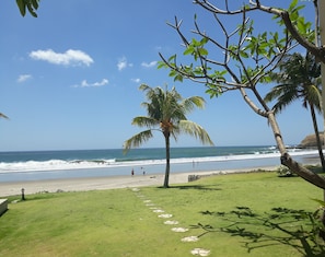 A beach with a grassy area, palm trees, and the ocean. - Hacienda Iguana Beach and Golf Resort (Tola)