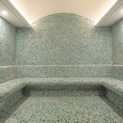 Steam room