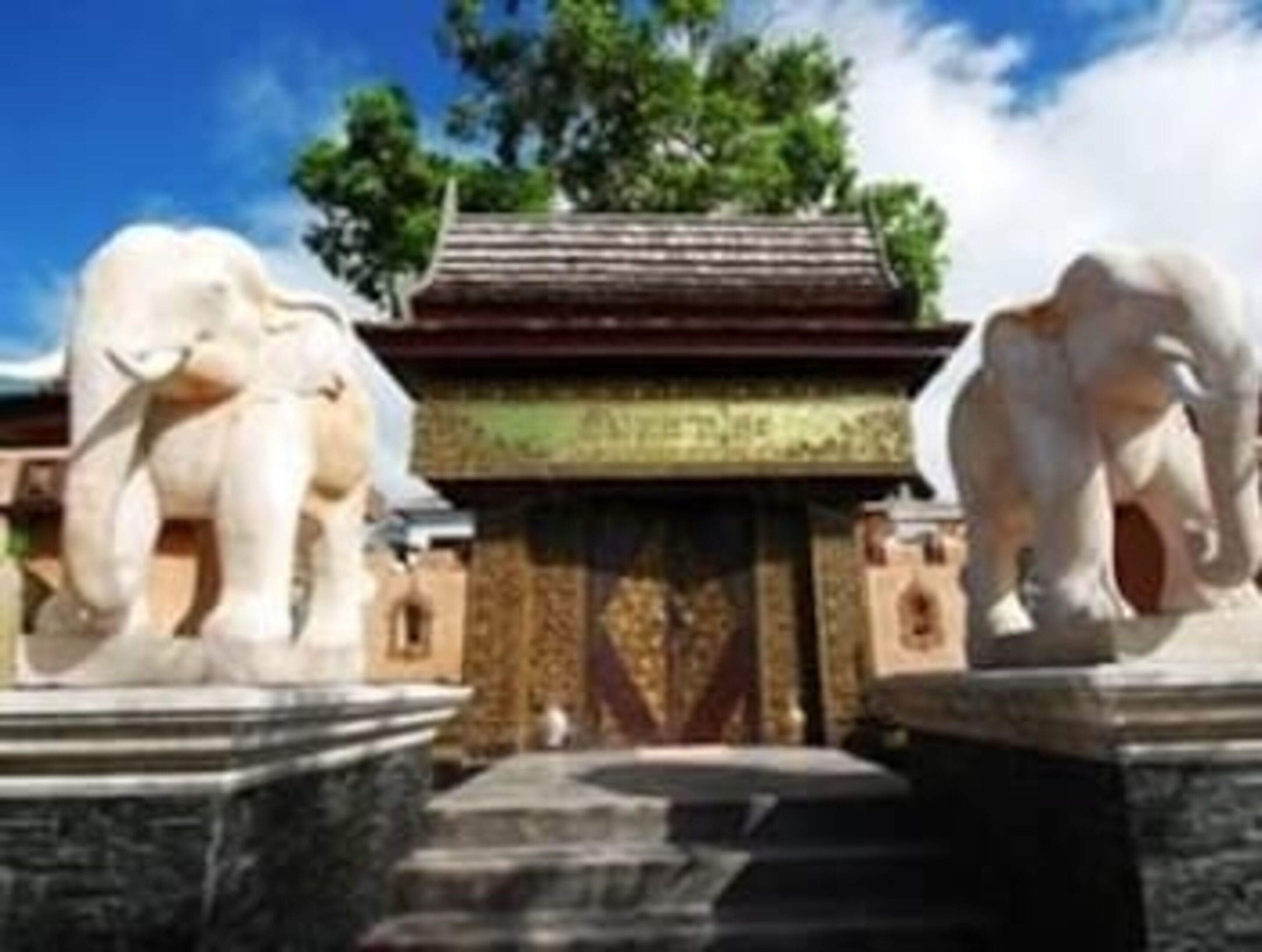Entrada de un templo con dos estatuas de elefantes a cada lado del acceso, que conduce a un edificio tradicional con tejado de tejas.