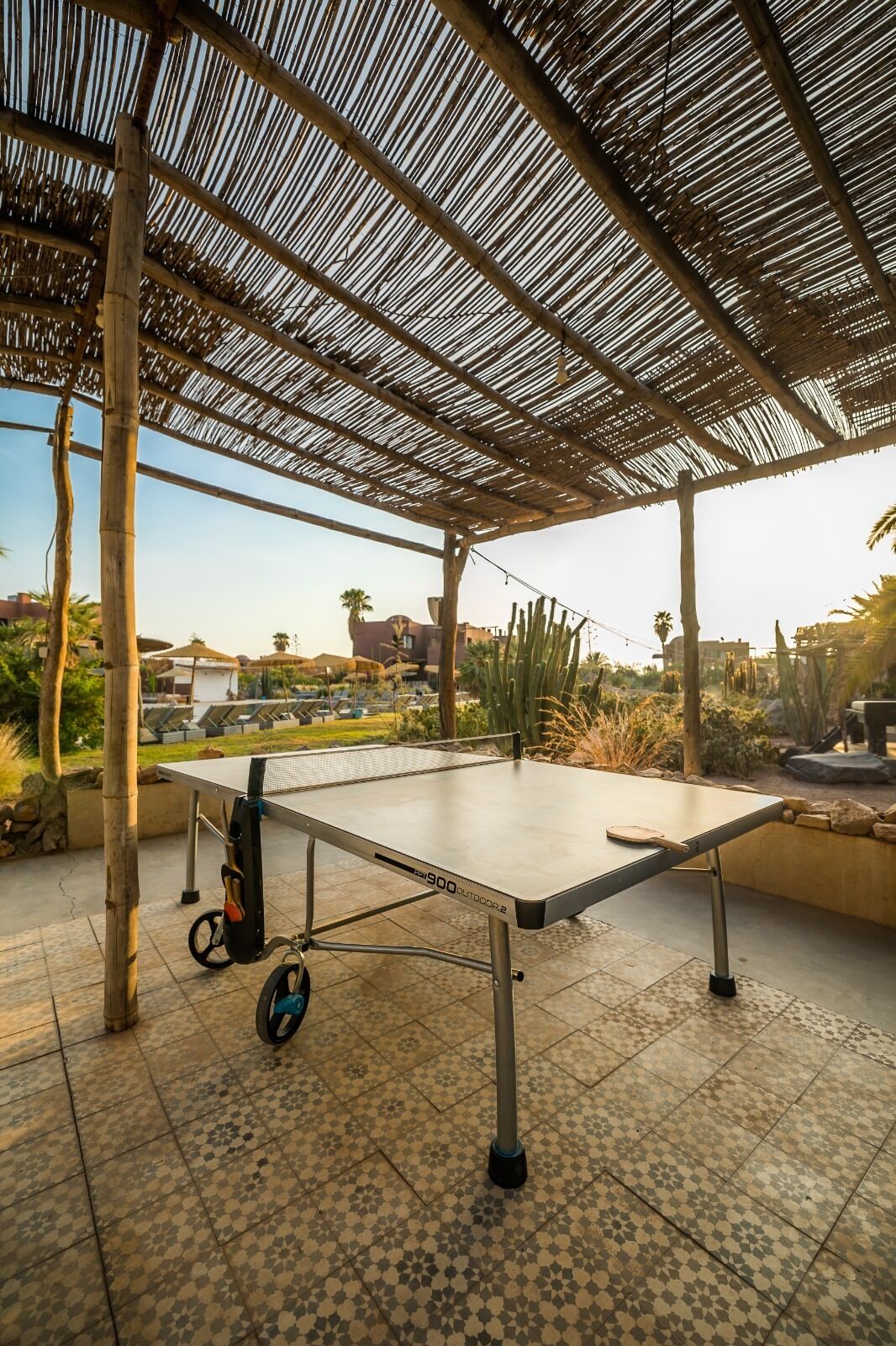 Una mesa de ping pong al aire libre bajo un techo de paja, rodeada de cactus y palmeras, con vistas a edificios al fondo.