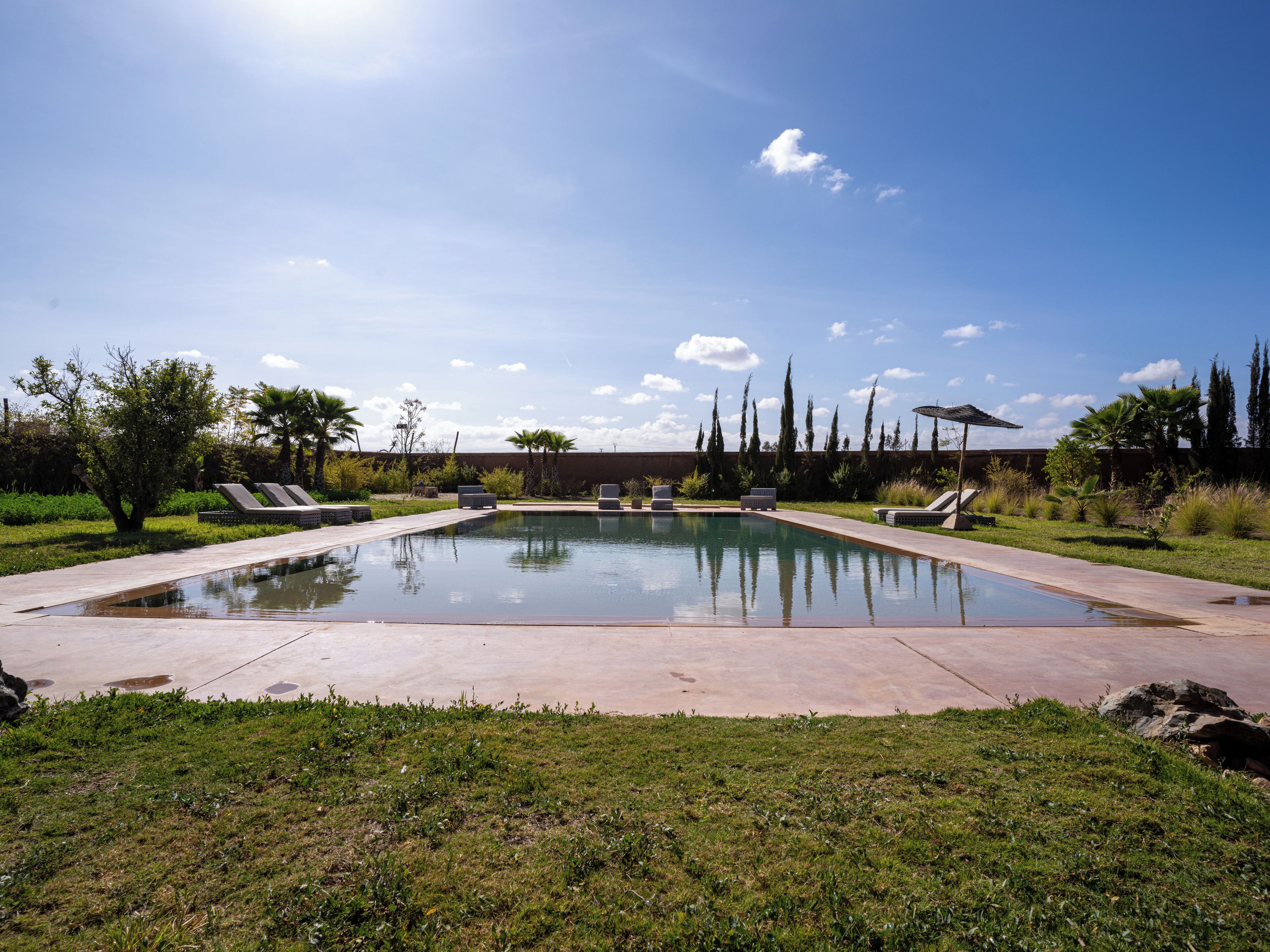 A rectangular swimming pool with a concrete deck, surrounded by grass and palm trees.