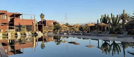 A clear pool with lounge chairs and a desert landscape with cacti and palm trees.