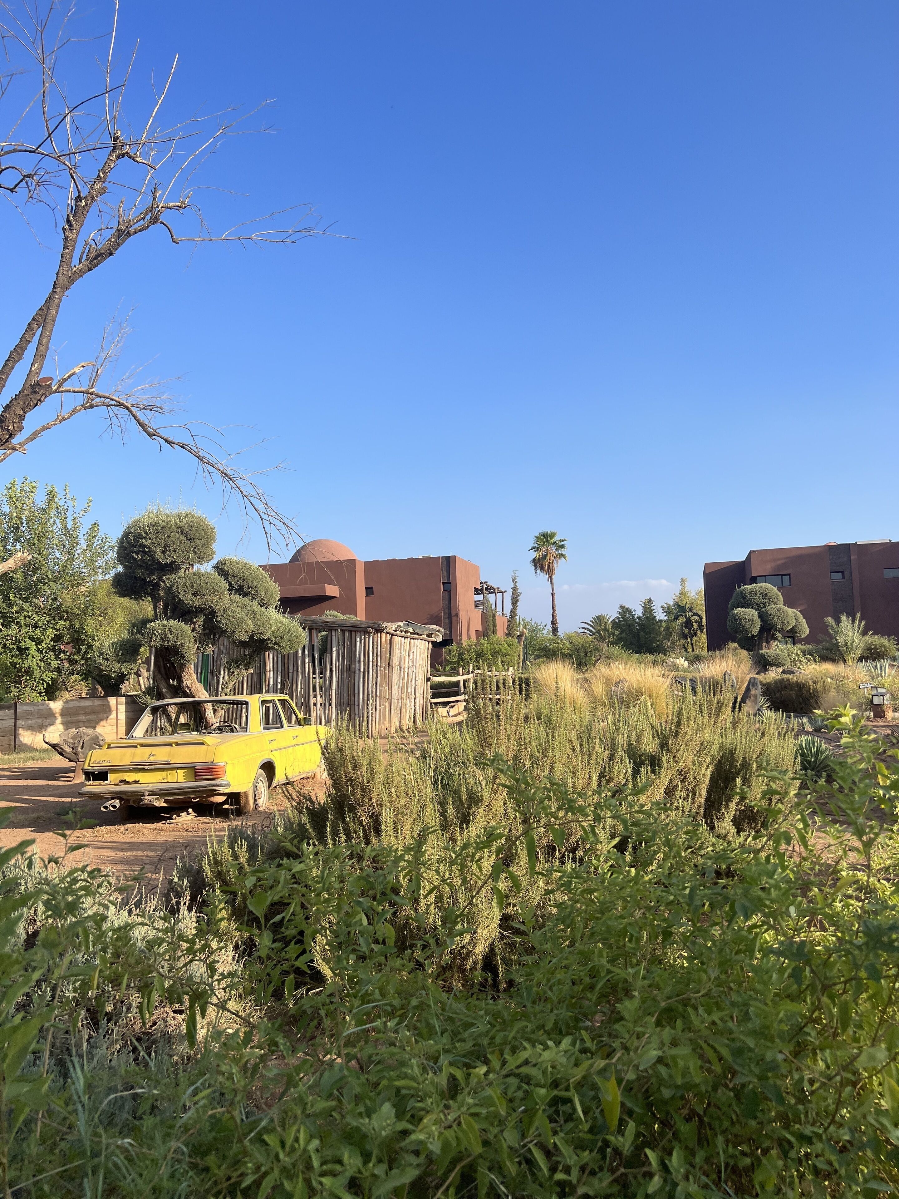 A yellow car parked in a dry, grassy area with a clear blue sky.