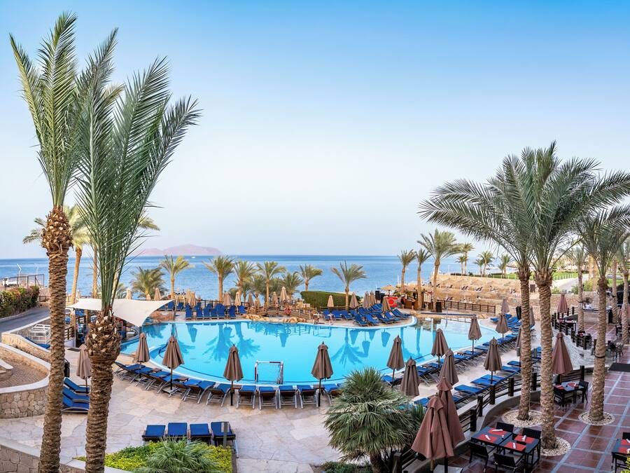 A pool area with lounge chairs and umbrellas, surrounded by palm trees.
