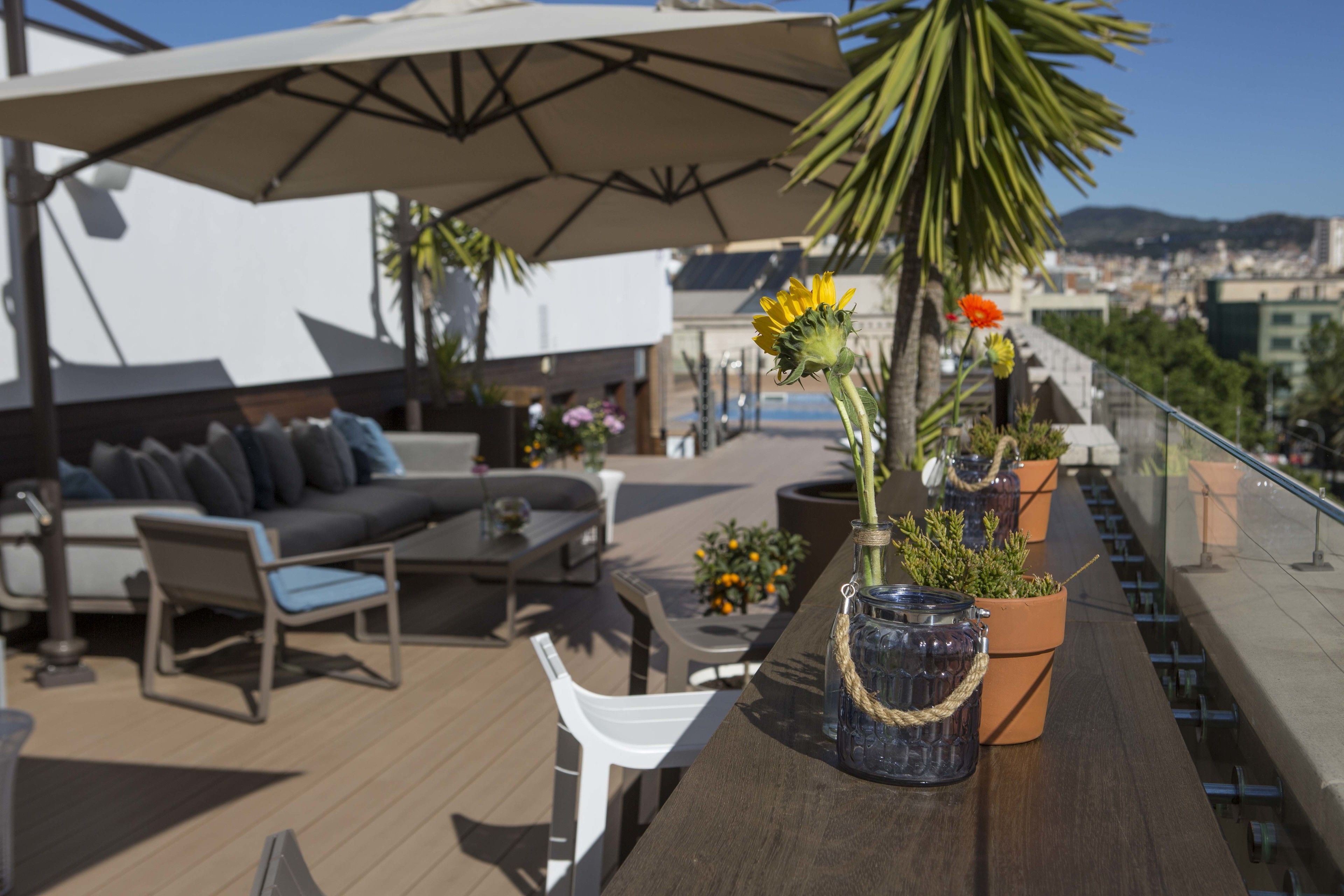 outdoor pool, pool loungers