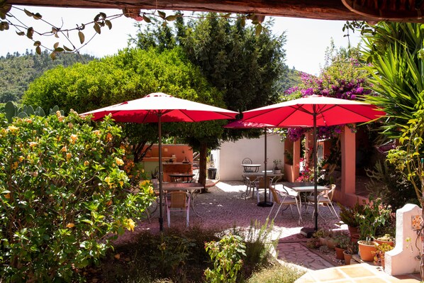 Terras