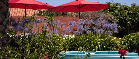 A garden area with red umbrellas, a wooden bench, and purple flowers.