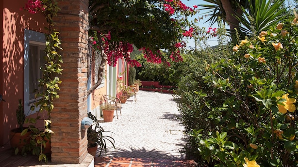 Un sentier pavé de pierres menant à un bâtiment à la façade en briques, agrémenté de plantes en pot et de plantes grimpantes en fleurs.