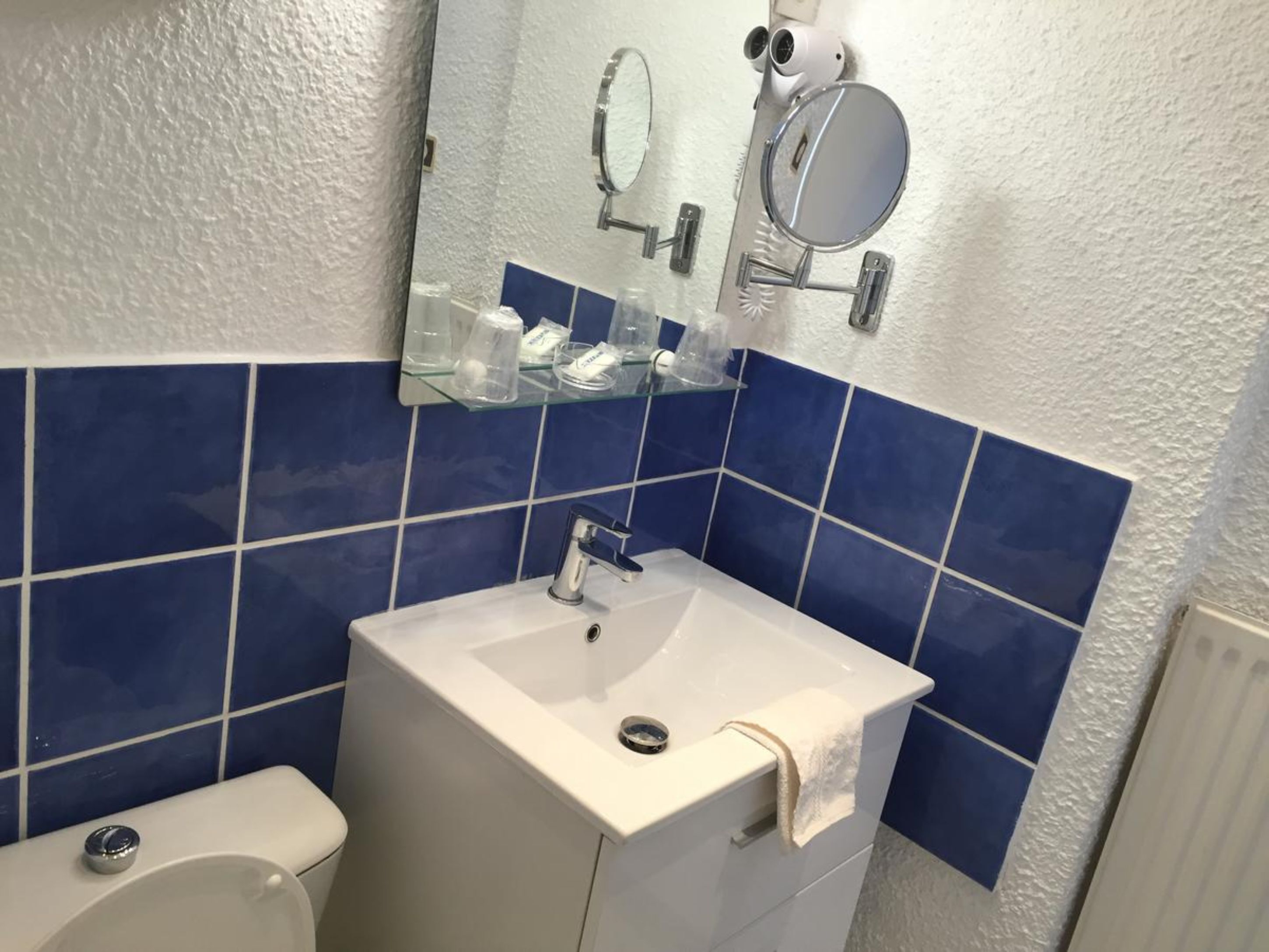 double room with shower | bathroom sink