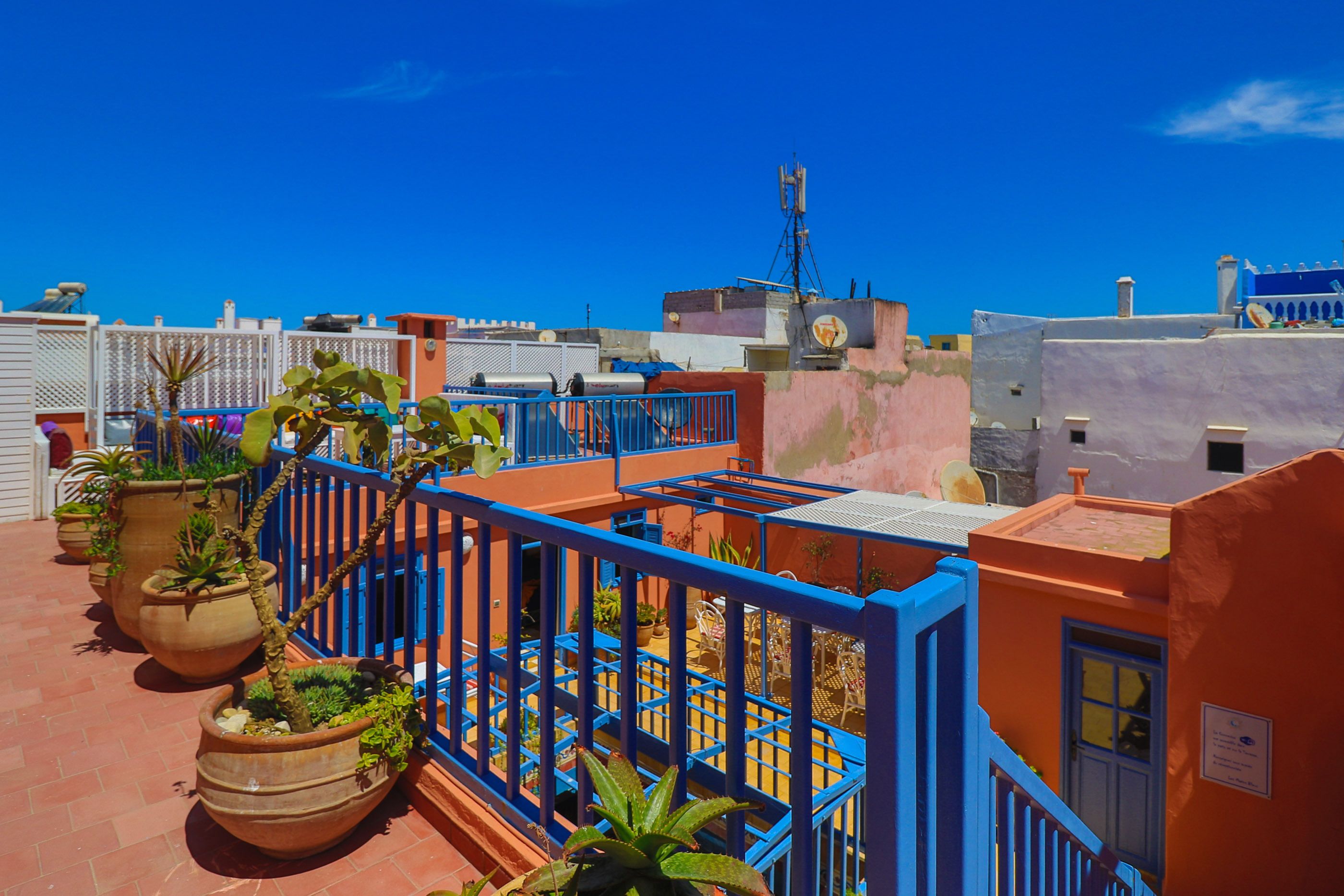 Een dakterras met terracotta plantenbakken, blauwe hekwerken en een helderblauwe lucht.