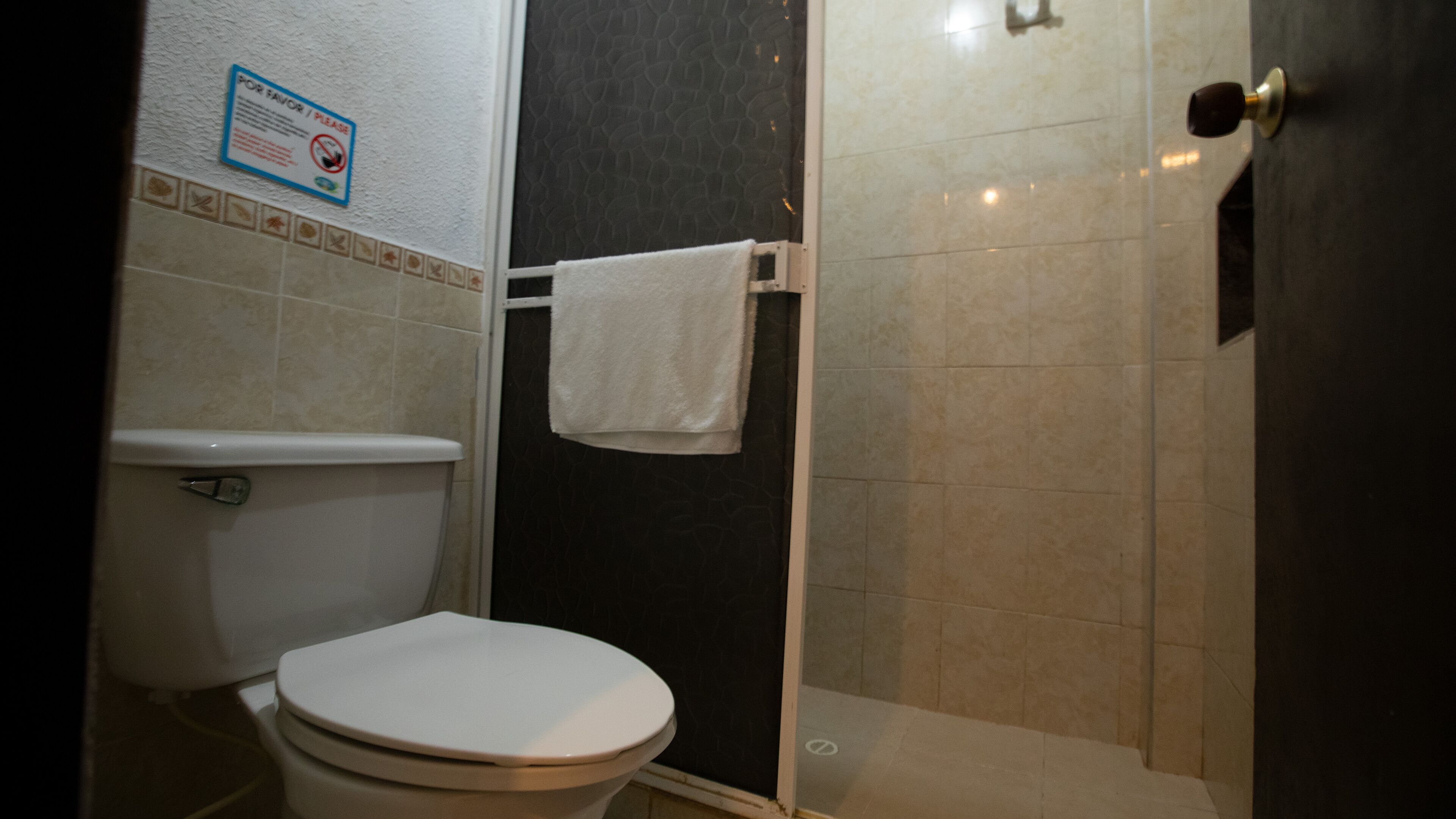 A bathroom with a toilet, a shower stall, and a towel hanging on a rack.