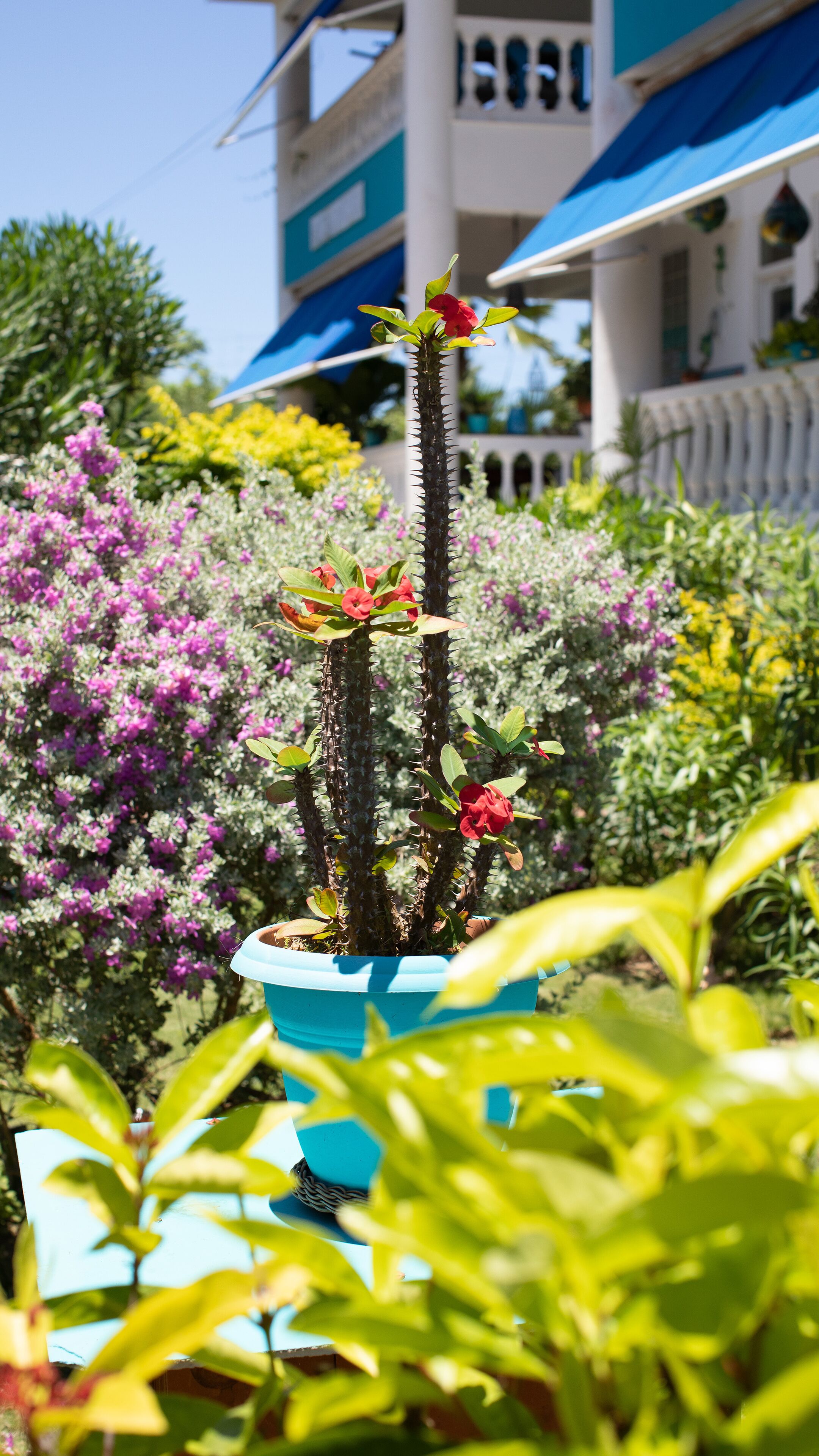 Foto - Hosteria Mar y Sol