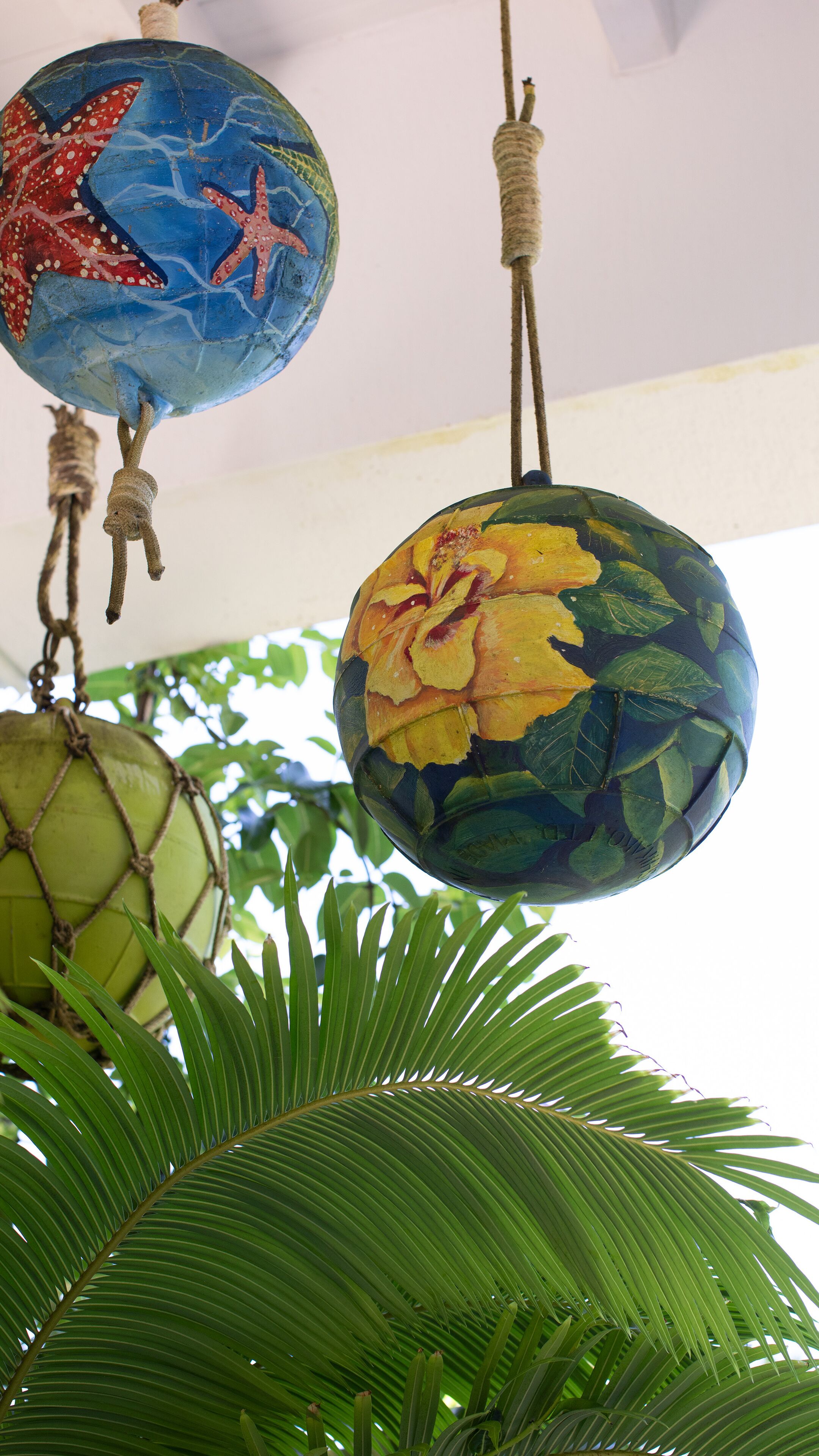 Foto - Hosteria Mar y Sol