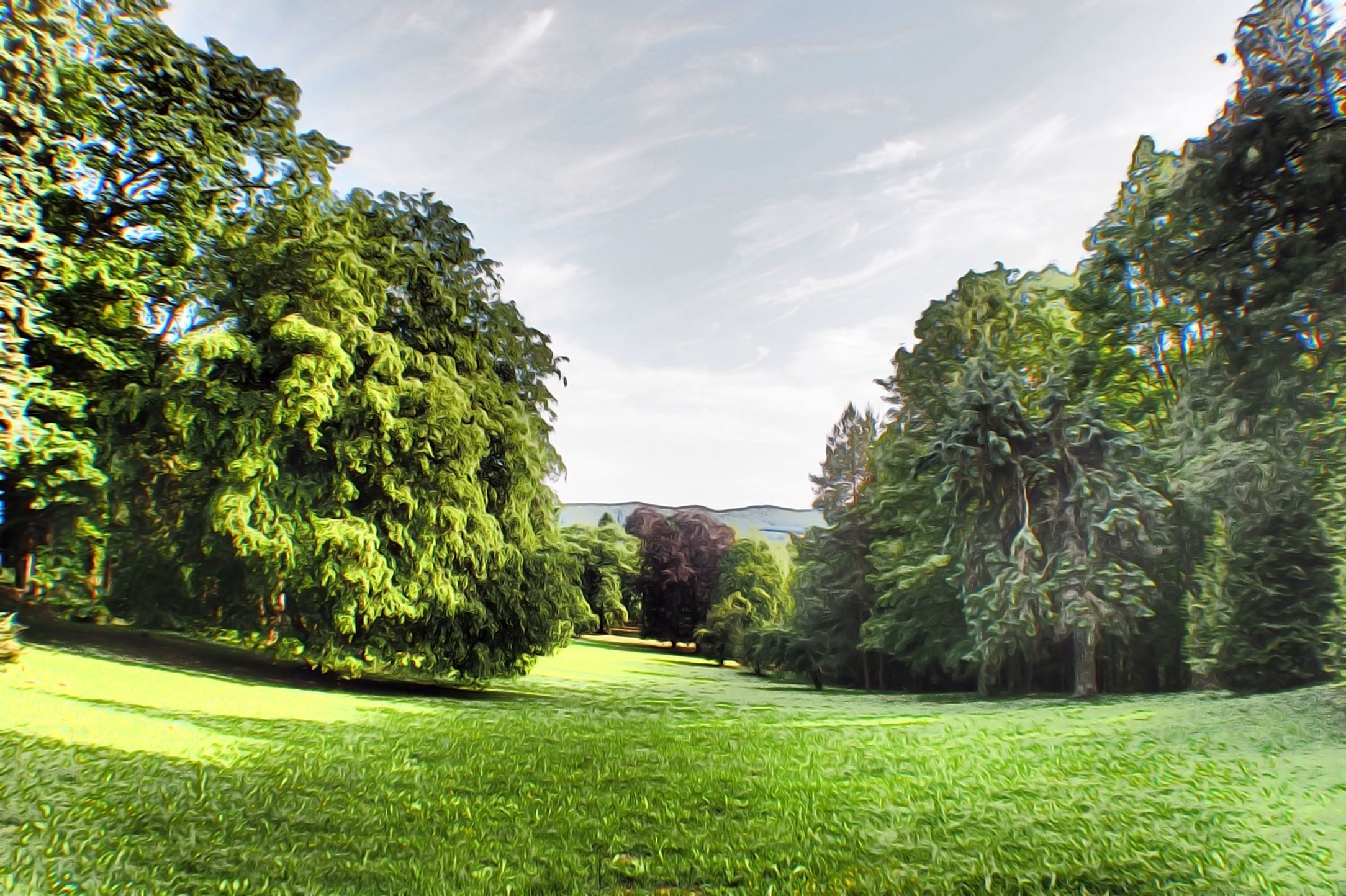 Un parc avec un sentier bordé de pelouse et des arbres.