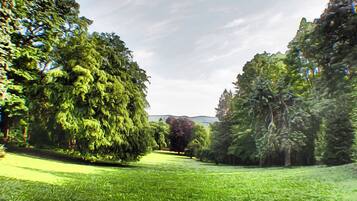 Un parc avec un sentier bordé de pelouse et des arbres.