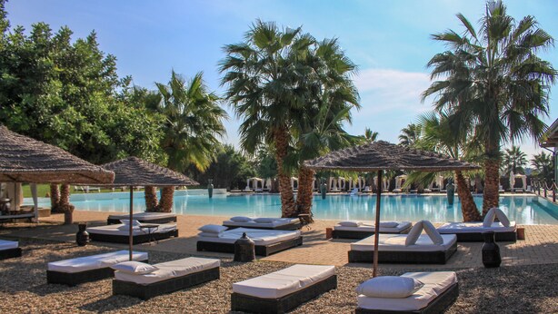 Un espace aménagé au bord de la piscine, avec des chaises longues et des parasols, entouré de palmiers.