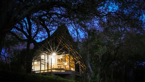 Una cabaña tipo casa del árbol con fachada de vidrio, rodeada de follaje denso.