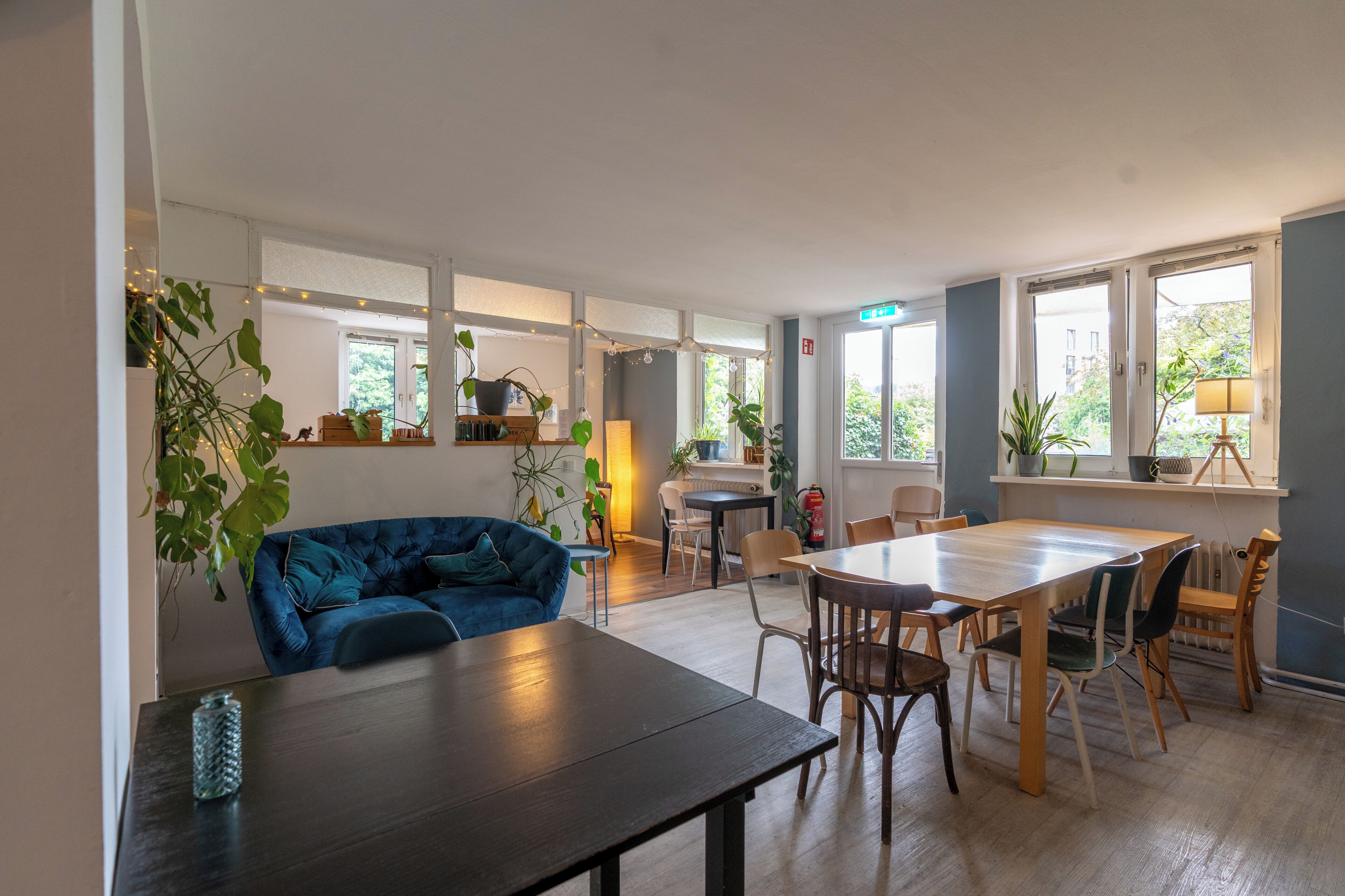 Un interior moderno con un sofá azul, una mesa de comedor de madera y sillas. Se observan plantas, luces de cadena y un extintor.