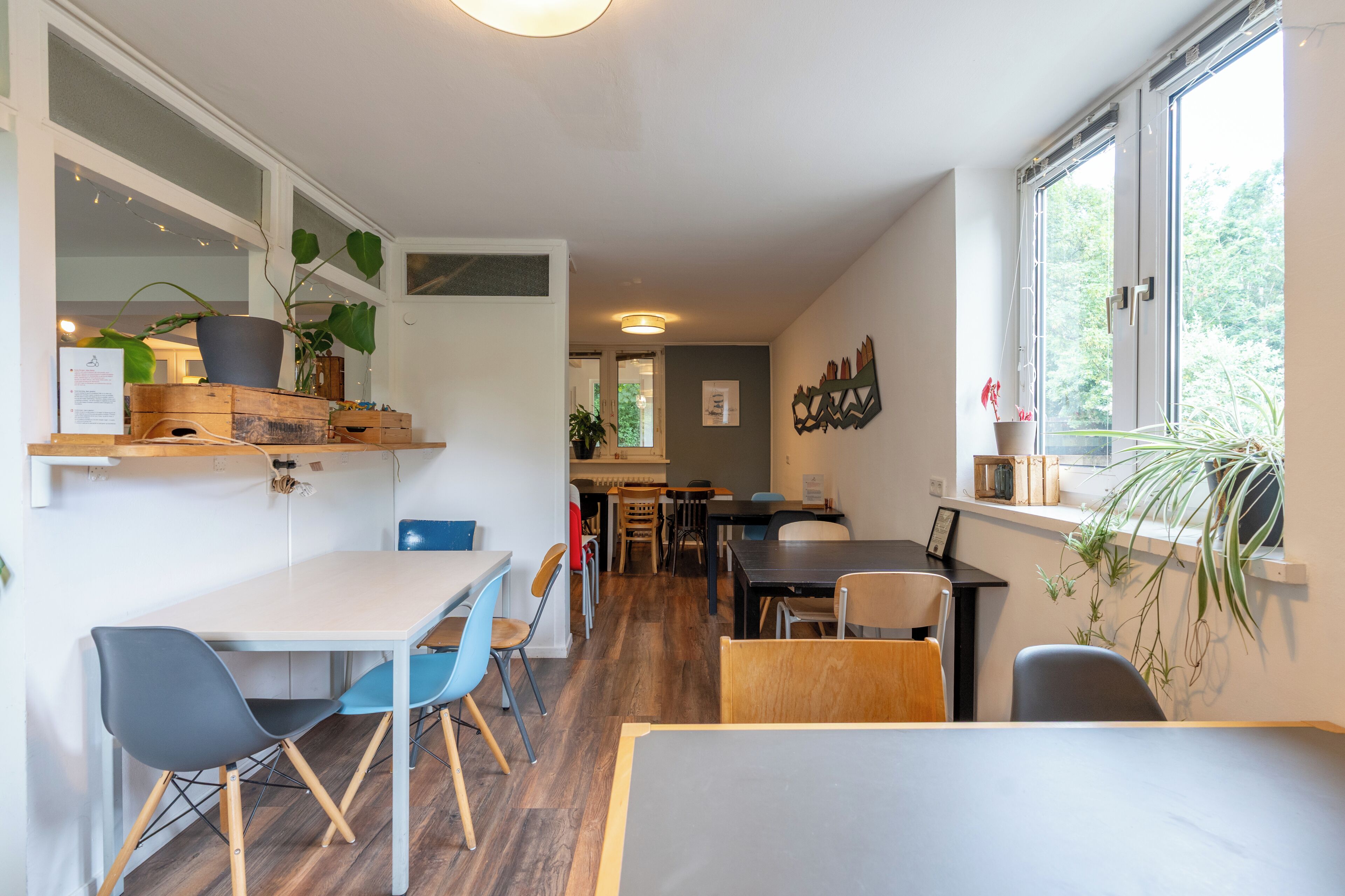 A modern dining area with a long table and chairs, a kitchen in the background, and a window with plants.
