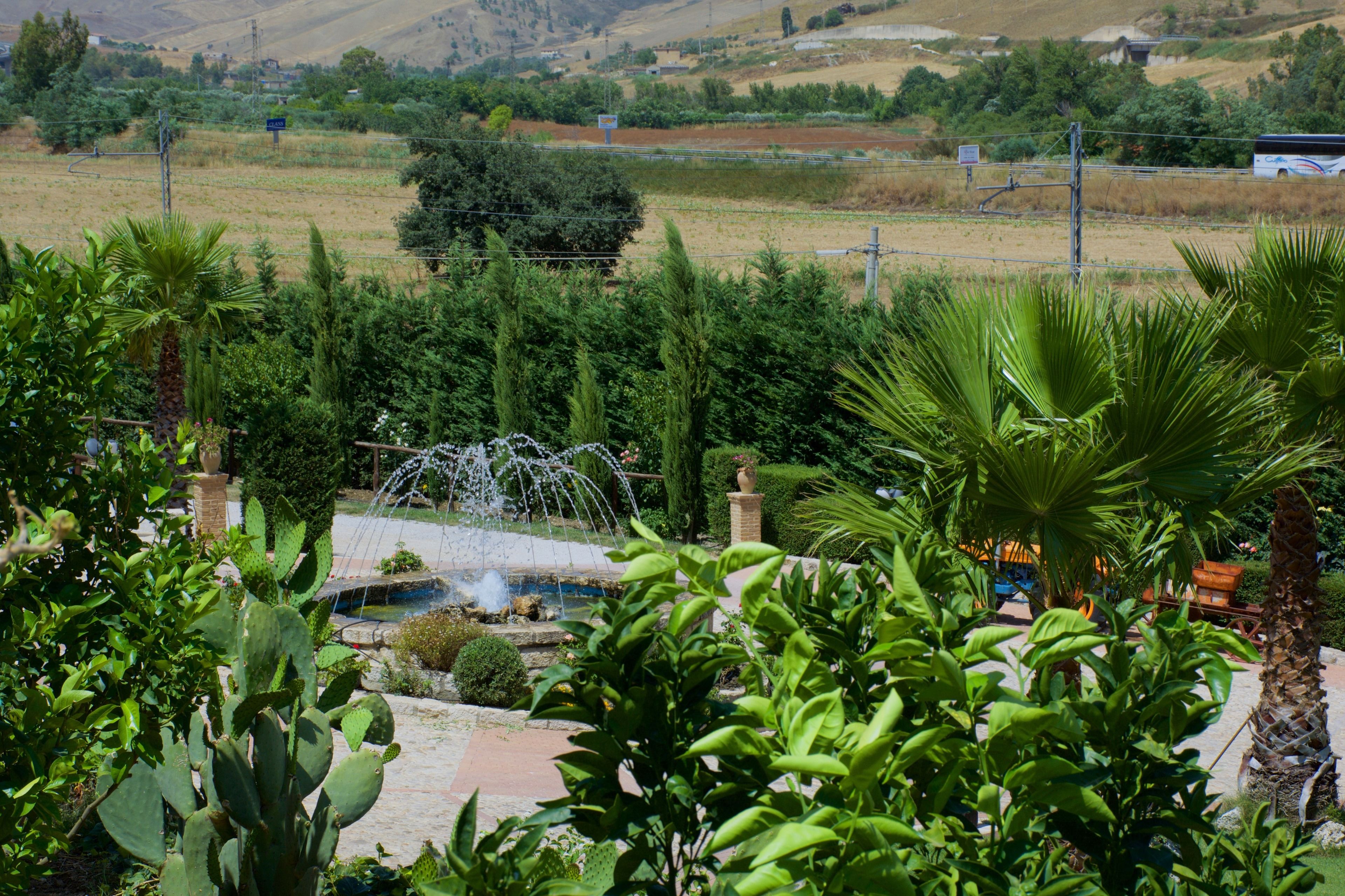 A garden with a fountain, cacti, and a view of a bus in the distance.