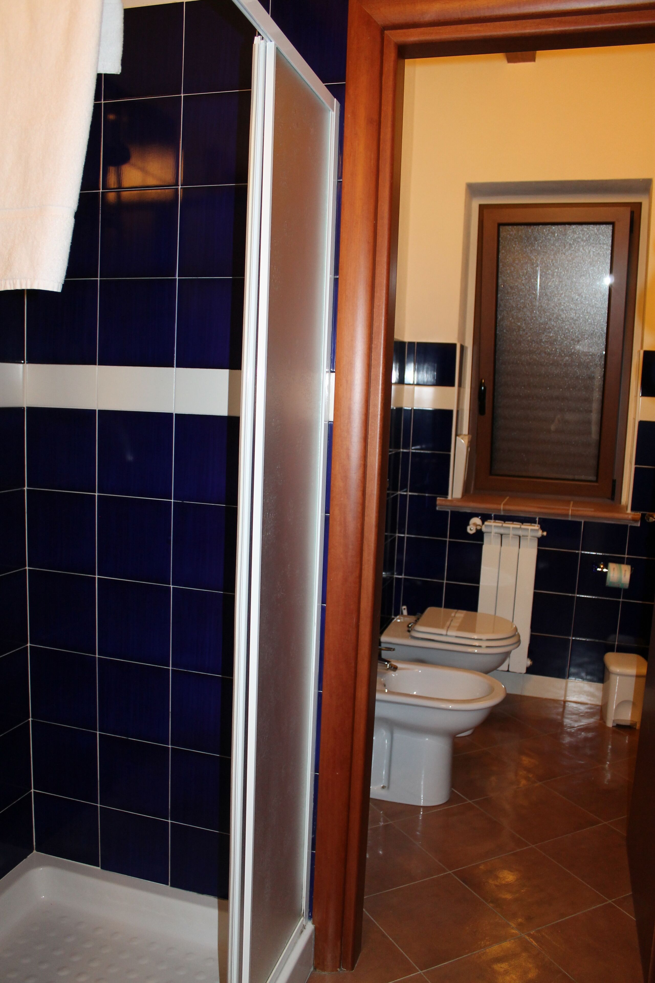 A bathroom with dark blue tiles, a white toilet, and a shower area.