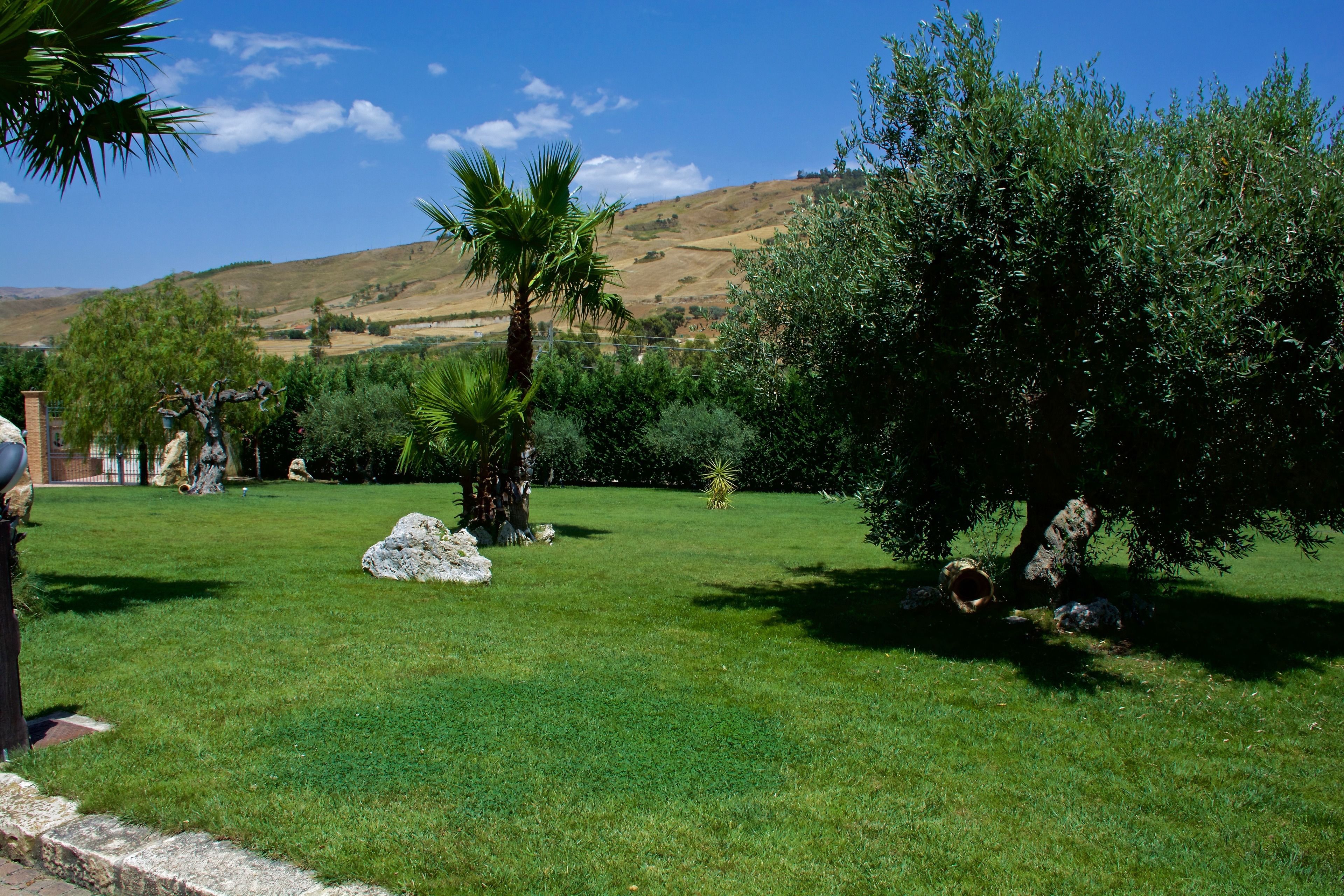 Un jardin bien entretenu, avec une variété d’arbres, un ciel bleu dégagé et un paysage vallonné en arrière-plan.