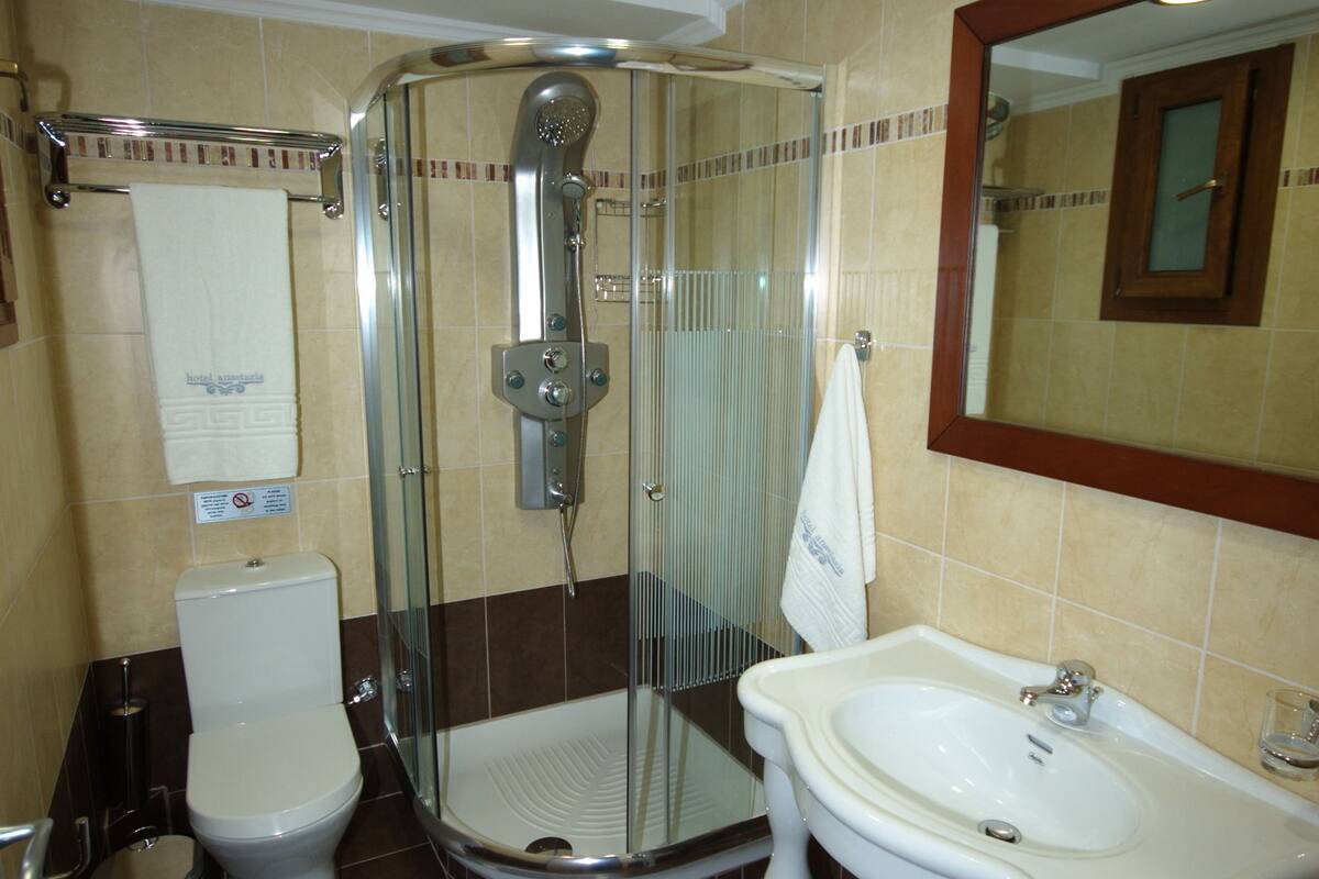 shower, hydromassage showerhead, hair dryer, towels