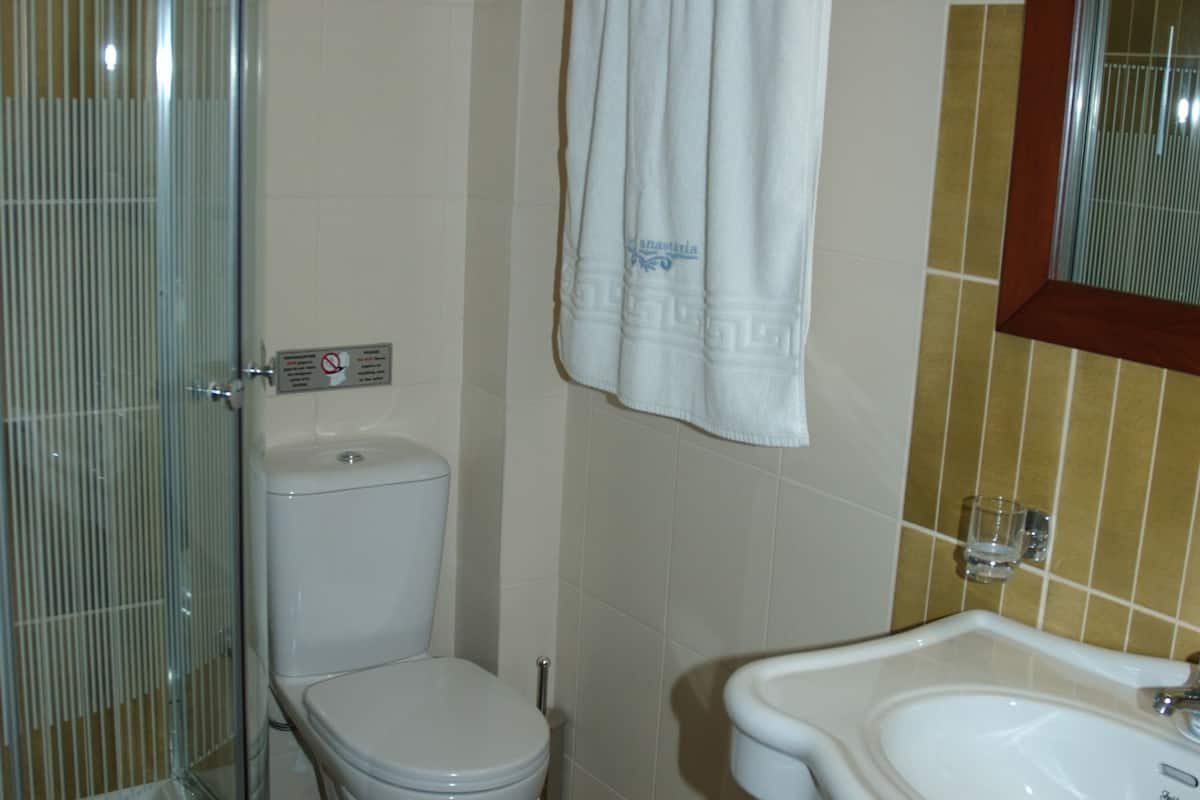 shower, hydromassage showerhead, hair dryer, towels