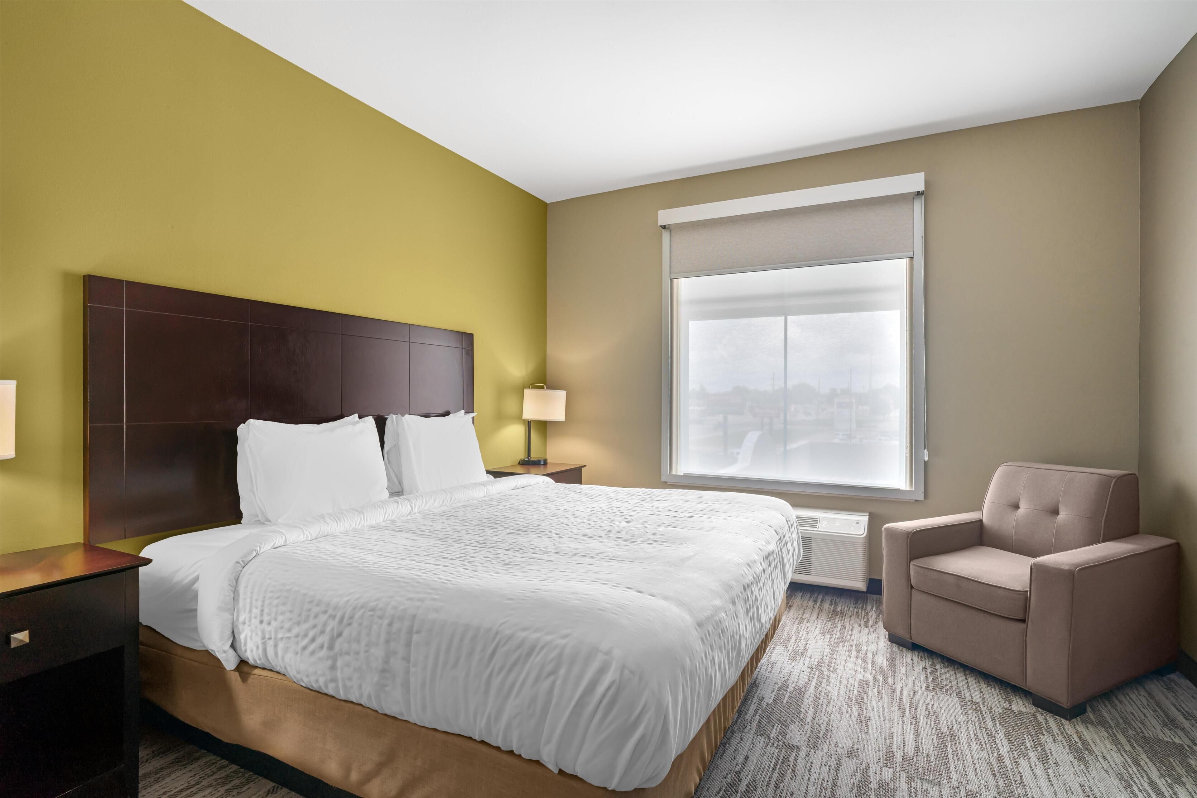 Suite, 1 King Bed, Non Smoking, Refrigerator & Microwave (with Sofabed) | In-room safe, desk, iron/ironing board, free cribs/infant beds