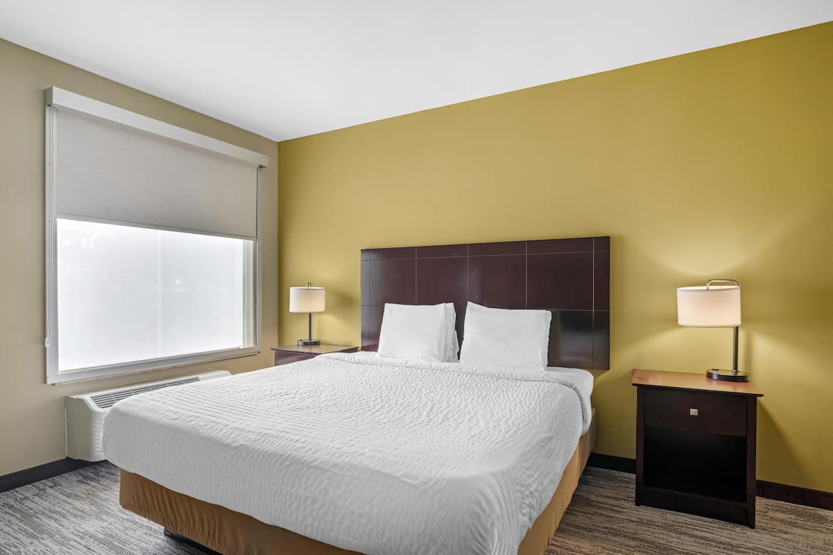 Standard Room, 1 King Bed, Non Smoking, Refrigerator & Microwave | In-room safe, desk, iron/ironing board, cribs (free)