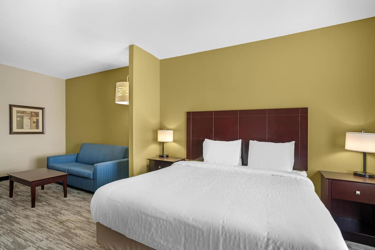 Suite, 1 King Bed, Non Smoking, Refrigerator & Microwave (with Sofabed) | In-room safe, desk, iron/ironing board, cribs (free)