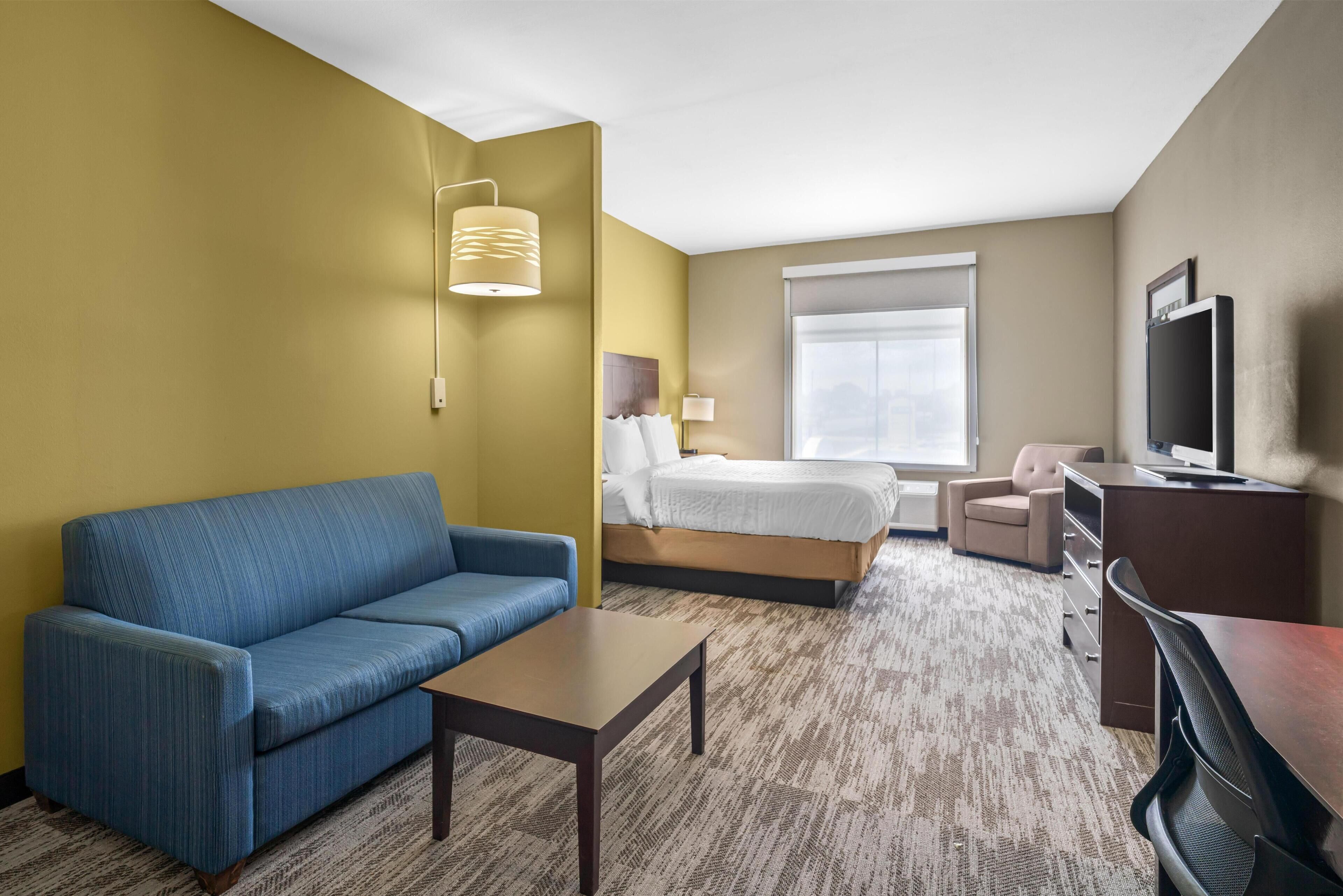 Suite, 1 King Bed, Non Smoking, Refrigerator & Microwave (with Sofabed) | In-room safe, desk, iron/ironing board, free cribs/infant beds