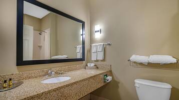 Standard Room, 1 King Bed, Accessible, Refrigerator & Microwave | Bathroom