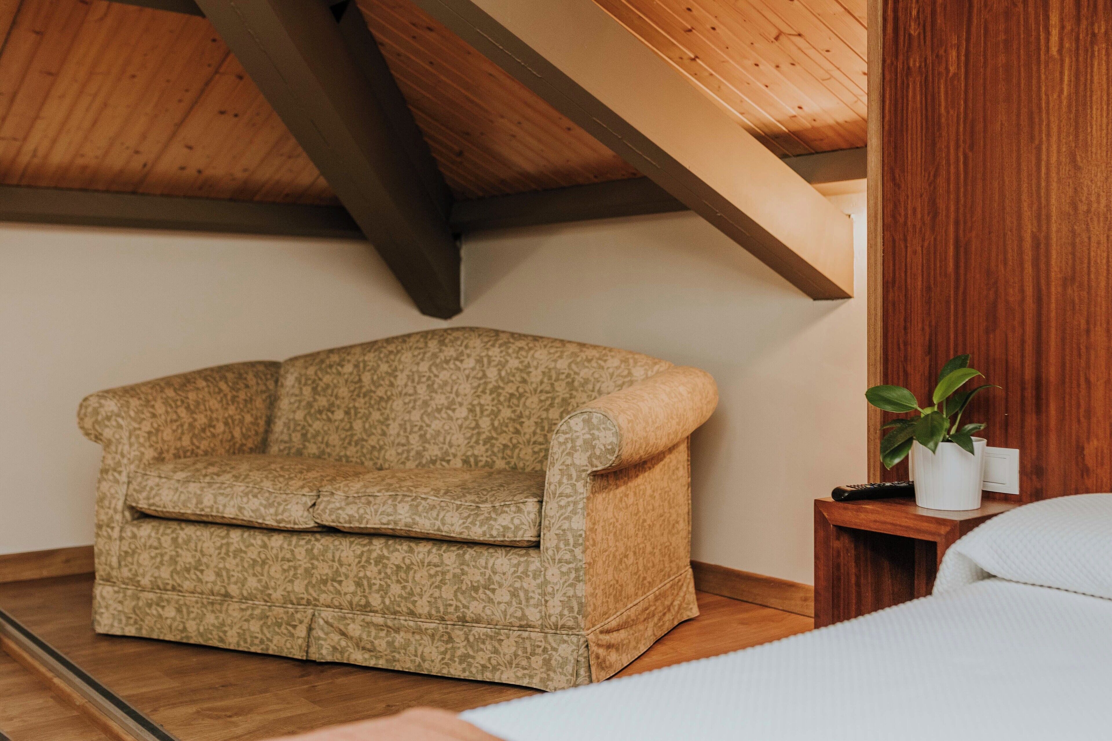 Una habitación con un sofá estampado, una mesita de noche de madera con una planta y una cama blanca.