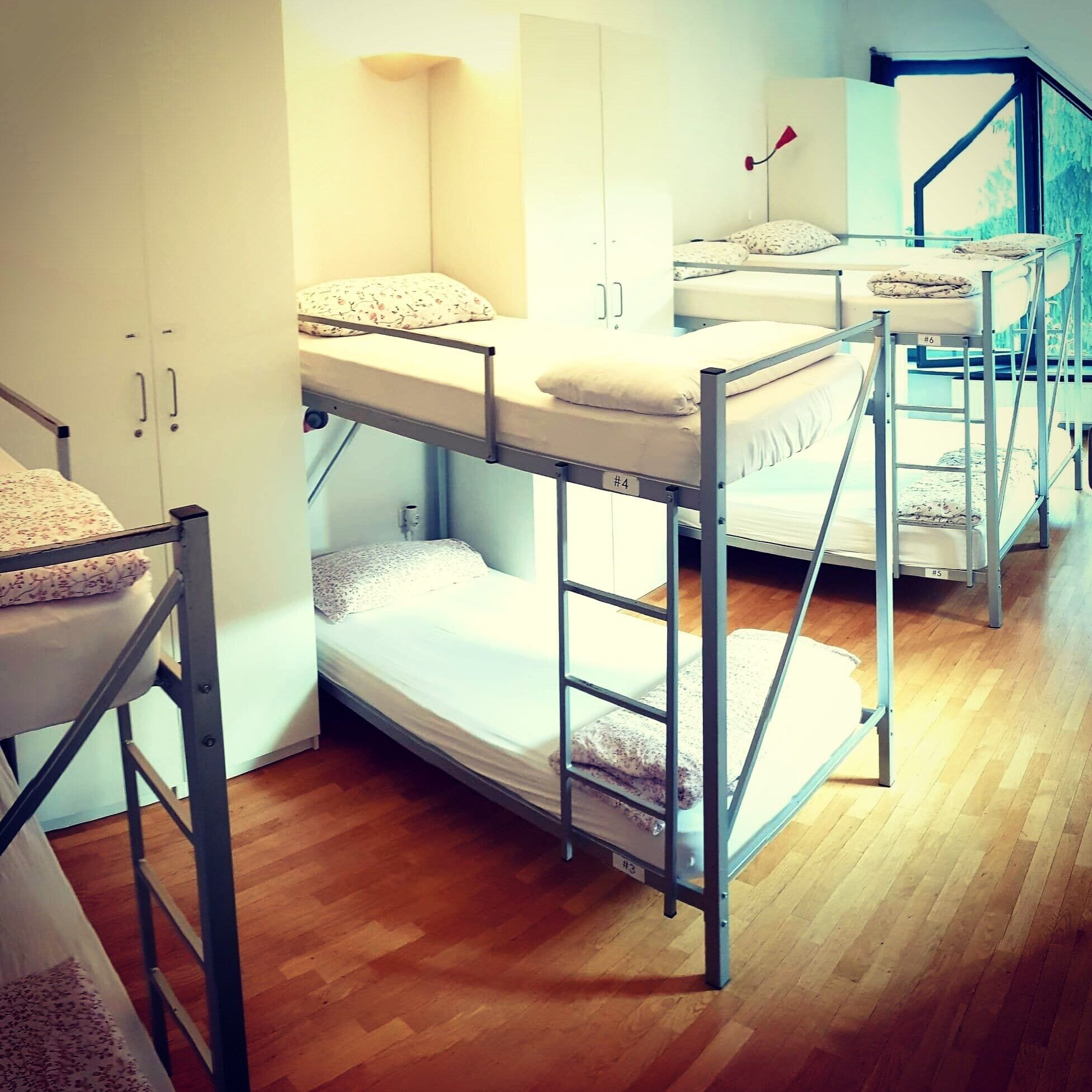 A dormitory room with bunk beds, wooden flooring, and a window with a view.