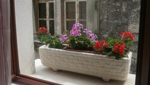 A window with a white planter box containing red and purple flowers. - Palace Stafileo (Trogir)