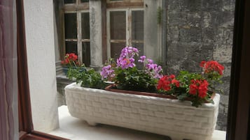 Vista desde la habitación