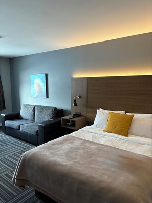 Hypo-allergenic bedding, down comforters, individually decorated, desk - Motel Fraser (Chandler)