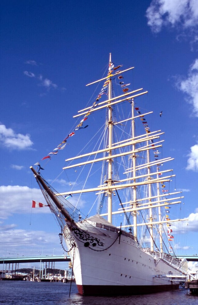 Barken Viking by null