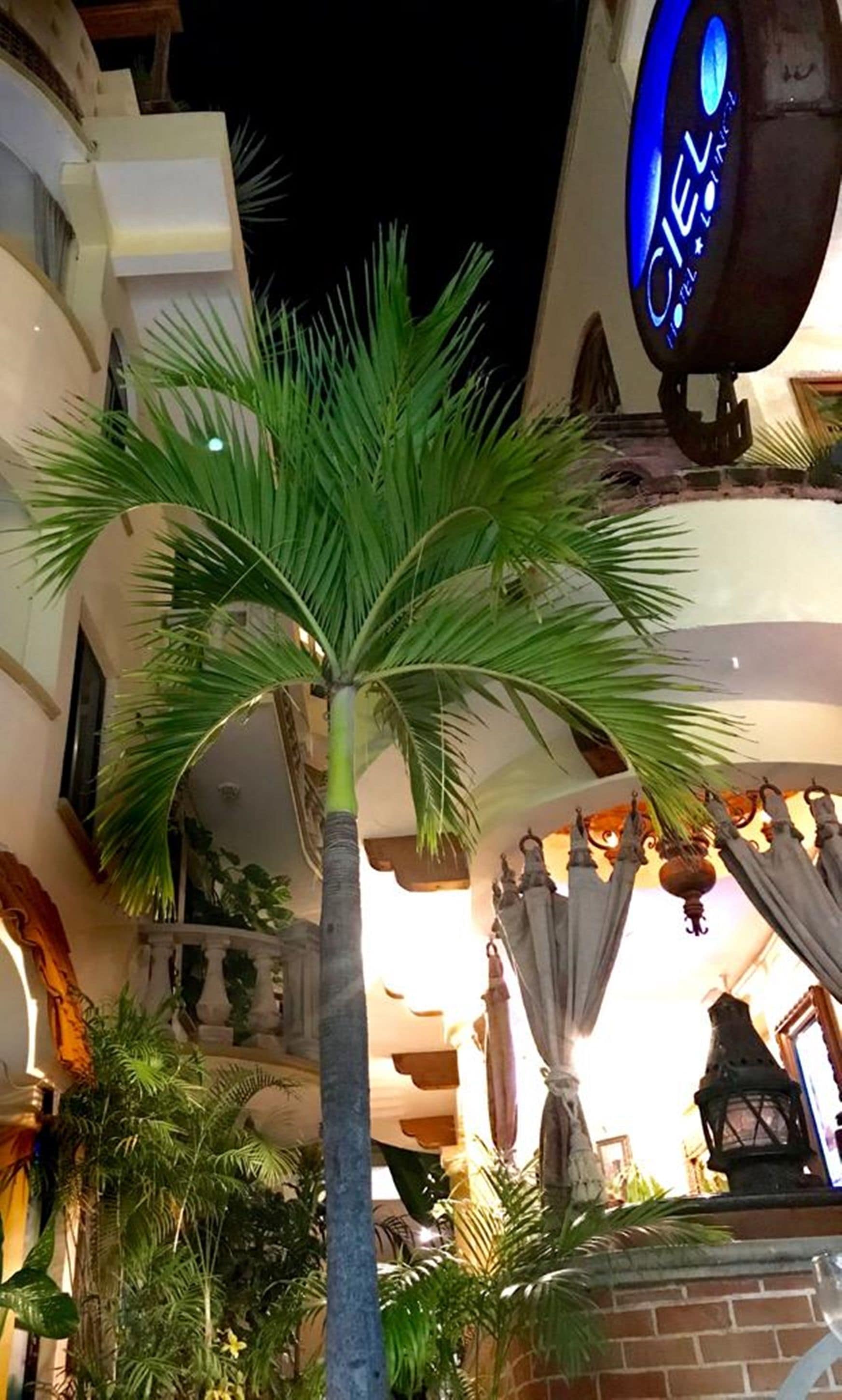 Photo - Hotel Cielo