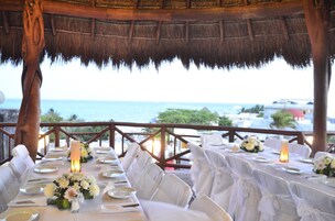 Lemmikkiystävällinen