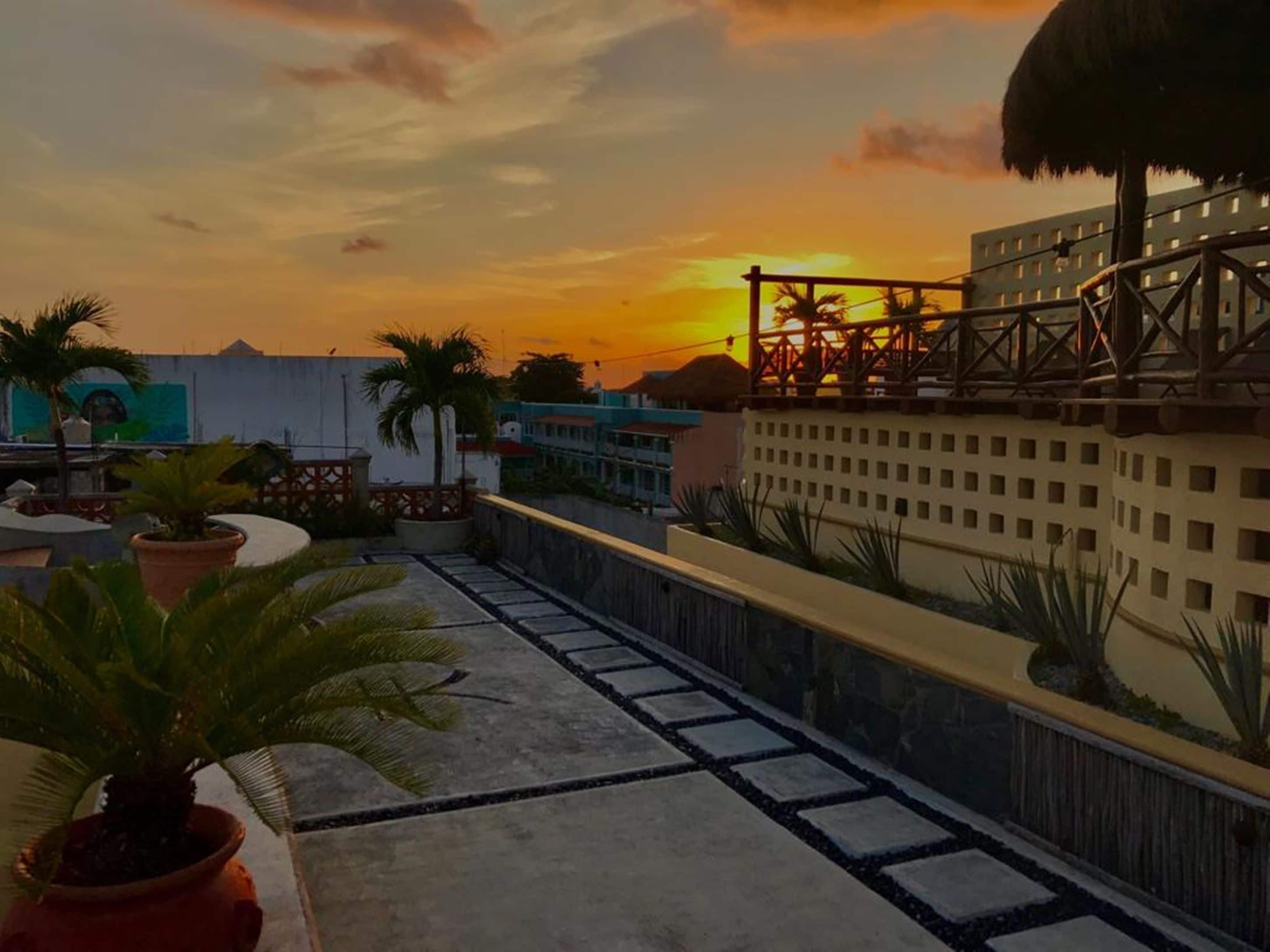 Una terraza en la azotea con vista al atardecer, palmeras y un edificio con techo de paja.