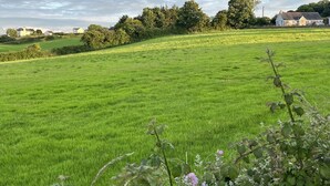 A green field with a line of trees and a building in the distance.