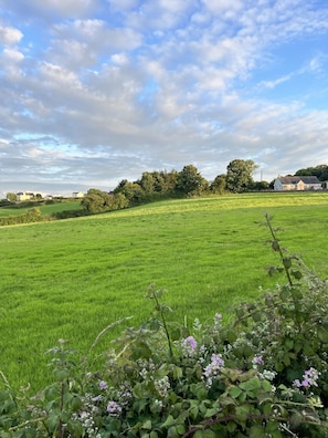 View from property - Ty Dderw Country Inn (Moelfre)