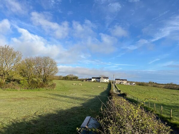 A rural landscape with a fenced field, a few buildings in the distance, and a clear sky.