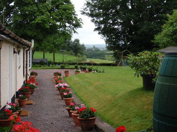 Garden - Brambles Bed and Breakfast (Tiverton)
