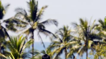 Un hombre en una piscina con vista a palmeras y al océano.