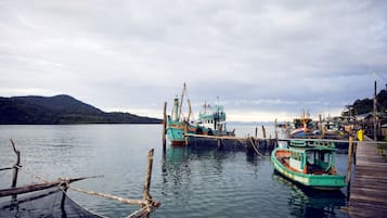 Muelle